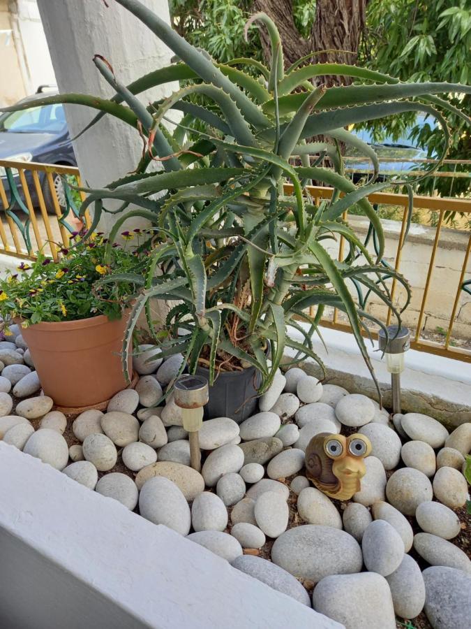 Appartement Alexandros Cosy House For Family Vacation
